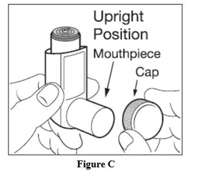 Figure C (Figure C)